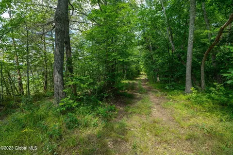 L16 Mt Path, Middleburgh, NY 12122 photo 4