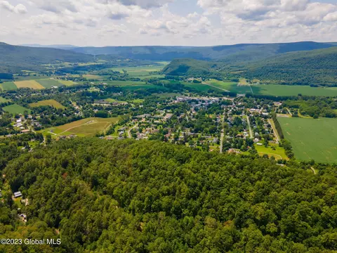 L16 Mt Path, Middleburgh, NY 12122 photo 11