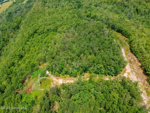 L16 Mt Path, Middleburgh, NY 12122 photo 20