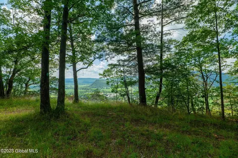 L16 Mt Path, Middleburgh, NY 12122 photo 17