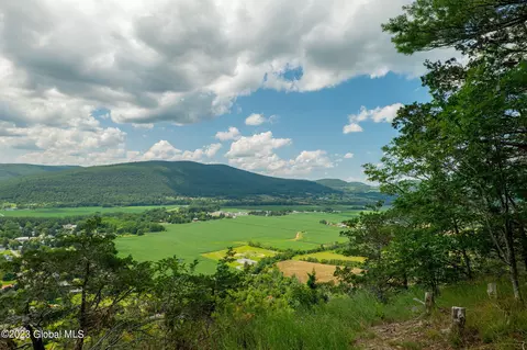 L16 Mt Path, Middleburgh, NY 12122 photo 2