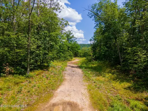 L16 Mt Path, Middleburgh, NY 12122 photo 18