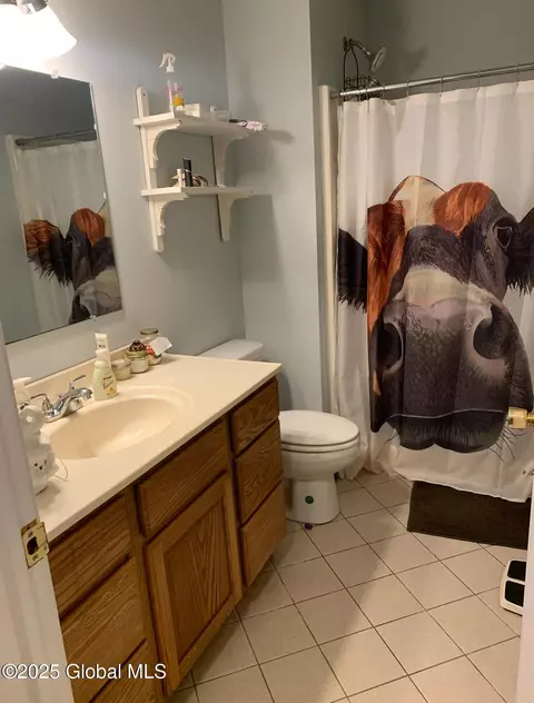 Bath - 264 Antone Mountain Rd, Corinth, NY 12822 photo 1 of 4