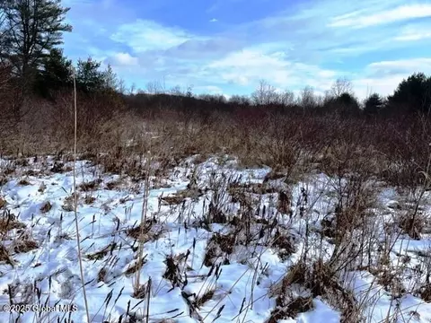 L5.1 State Highway 162, Esperance, NY 12066