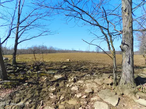 Other - 449 Caverns Rd, Howes Cave, NY 12092 photo 11 of 35