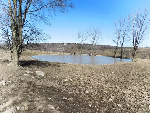 View/Area - 449 Caverns Rd, Howes Cave, NY 12092 photo 1 of 13