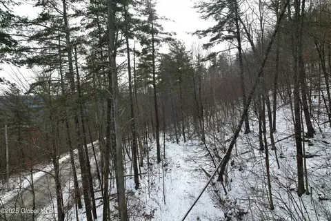 L1 Bear Ladder Road, Fulton, NY 12194