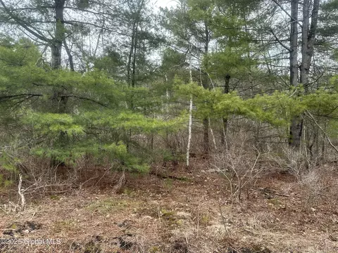 112 Sandhill Road # l46, Greenfield Center, NY 12833