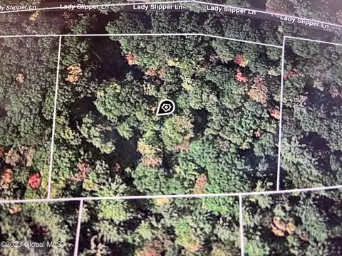 24 Lady Slipper Ln, Porter Corners, NY 12859