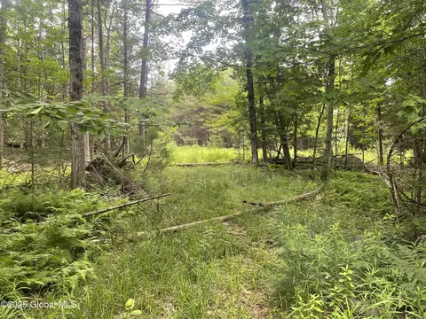 L34 Lane Road, Minerva, NY 12853