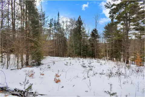 L86 Highview Lane #2, Wevertown, NY 12886