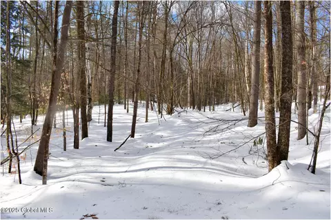 L93 Highview Lane #9, Wevertown, NY 12886