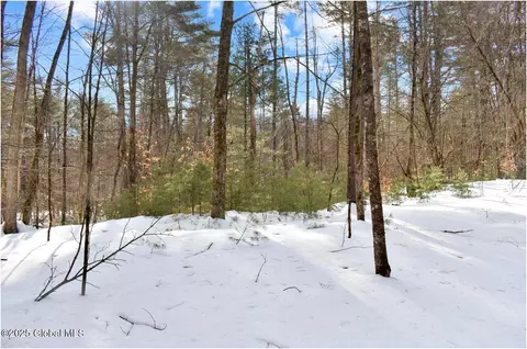 L94 Highview Lane #10, Wevertown, NY 12886