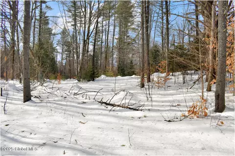 L95 Highview Lane #11, Wevertown, NY 12886