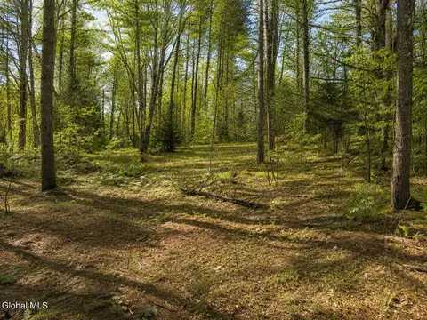 L95 Highview Lane #11, Wevertown, NY 12886
