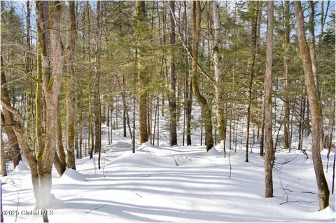 L96 Highview Lane #12, Wevertown, NY 12886