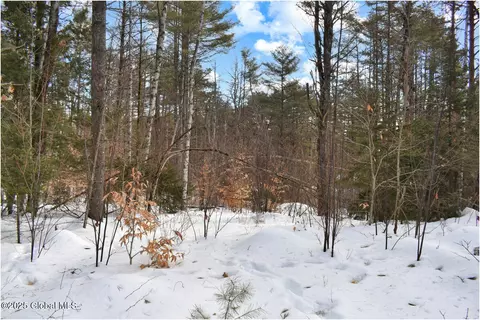 L97 Highview Lane #13, Wevertown, NY 12886