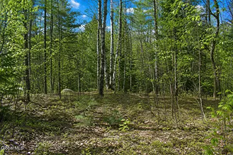 L97 Highview Lane #13, Wevertown, NY 12886