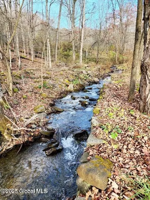 105 Vintonton Rd, Warnerville, NY 12187 photo 16