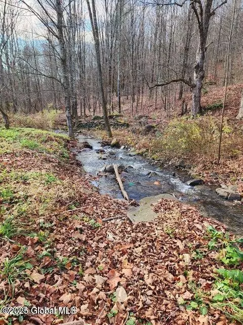 105 Vintonton Rd, Warnerville, NY 12187 photo 17