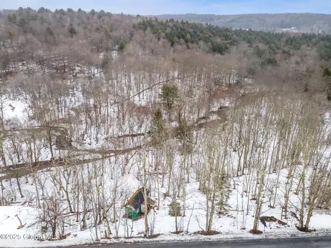 616 Enid Rd, Summit, NY 12175 photo 19
