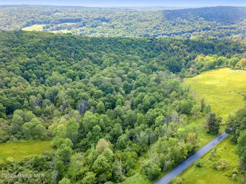 616 Enid Rd, Summit, NY 12175 photo 10