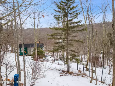 616 Enid Rd, Summit, NY 12175 photo 13