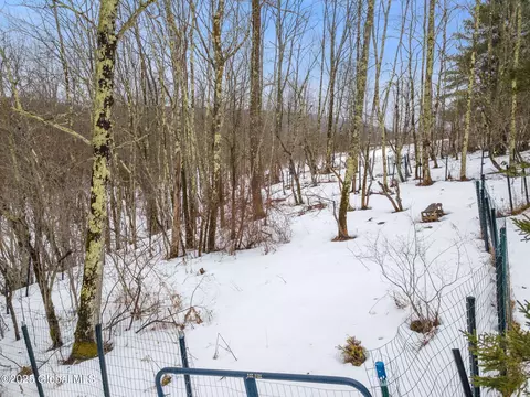 616 Enid Rd, Summit, NY 12175 photo 18