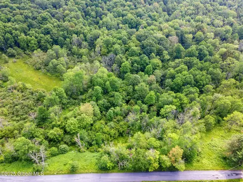 616 Enid Rd, Summit, NY 12175 photo 9