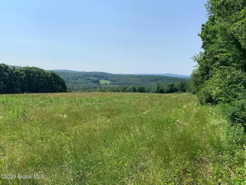 66 Old Gale Hill Rd, East Chatham, NY 12060