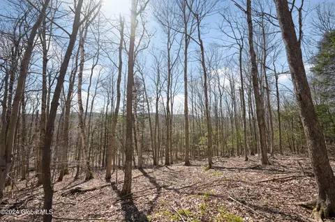 L11.6b Rossman Valley Rd, Richmondville, NY 12175