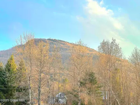 Other - 64 Maple Ave, Hunter, NY 12442 photo 4 of 10