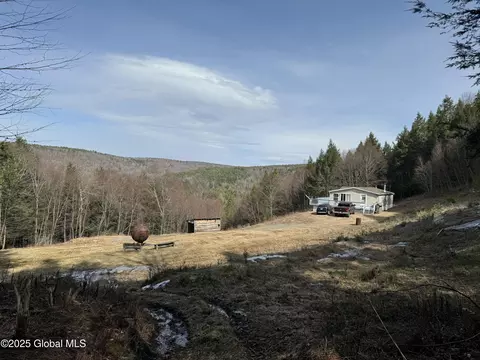 4719 Washington St, Prattsville, NY 12468