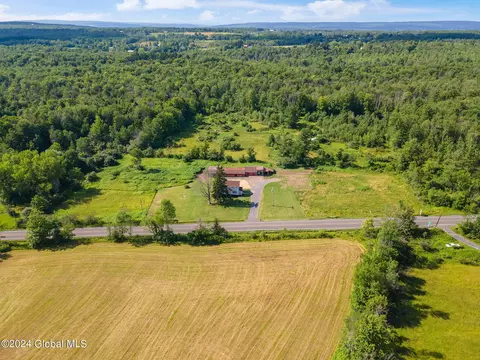 View/Area - 937 State Route 146, Delanson, NY 12053 photo 7 of 9