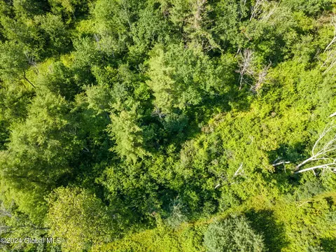View/Area - 937 State Route 146, Delanson, NY 12053 photo 4 of 9