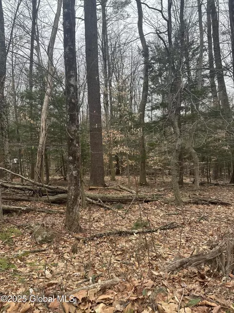 169-171 Traver Rd, Gansevoort, NY 12831