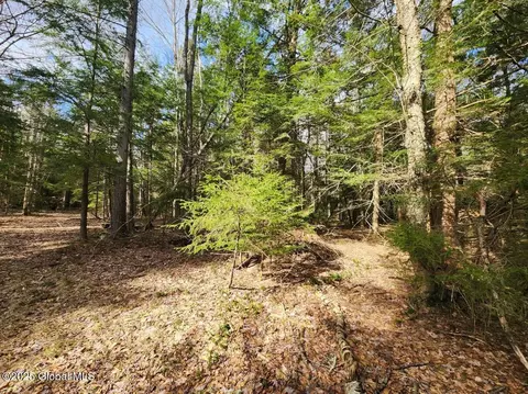 L2 Yankee Street, Summit, NY 12175