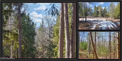 L15 Mountain Meadows Road, Adirondack, NY 12860