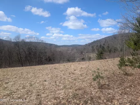 534 Rabbit College Rd, North Petersburgh, NY 12138