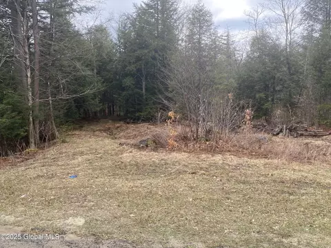 L13 County Highway 137, Caroga Lake, NY 12032