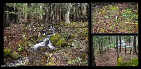 1290 Valentine Pond Rd, Adirondack, NY 12808