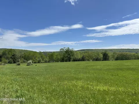 lot2 Gifford Hollow Rd, Berne, NY 12023