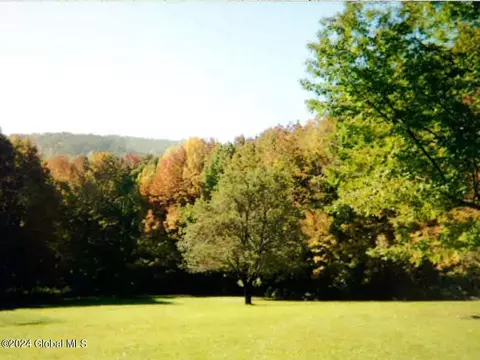 136 Beards Hollow Rd, Richmondville, NY 12149 photo 41