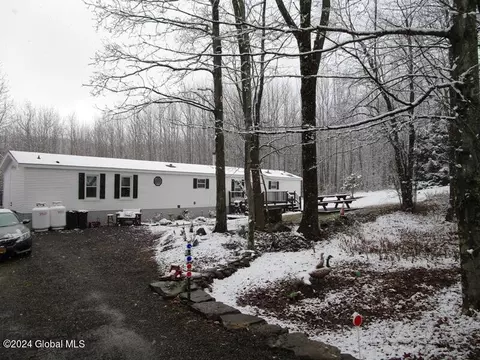 136 Beards Hollow Rd, Richmondville, NY 12149 photo 4