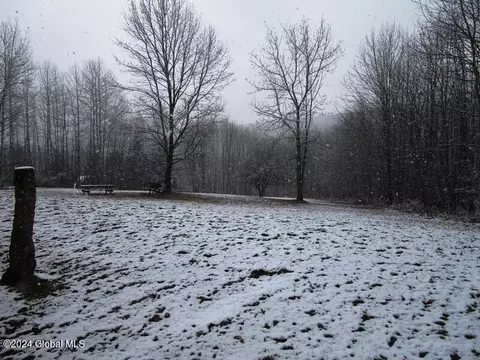 136 Beards Hollow Rd, Richmondville, NY 12149 photo 26