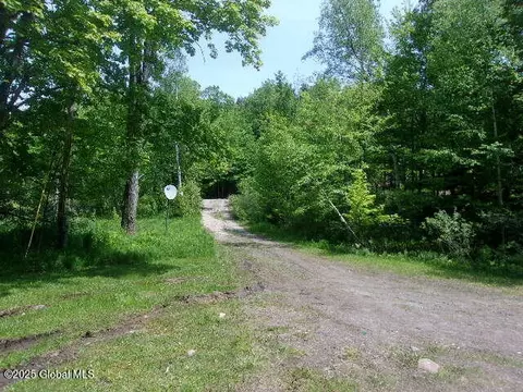 Exterior - 428 Bartman Rd, Bakers Mills, NY 12811 photo 15 of 17
