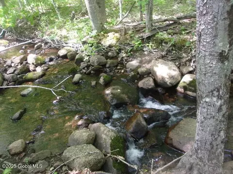 Other - 428 Bartman Rd, Bakers Mills, NY 12811 photo 36 of 36