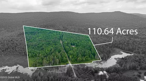 11 Darling Rd, Stony Creek, NY 12878