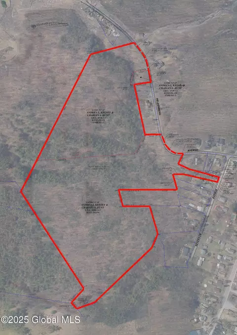 102 Severson Ave, Altamont, NY 12009