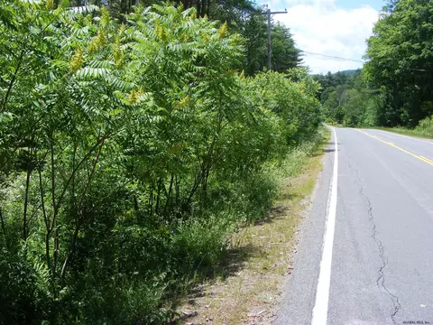 L13 County Hwy 123, Mayfield, NY 12117